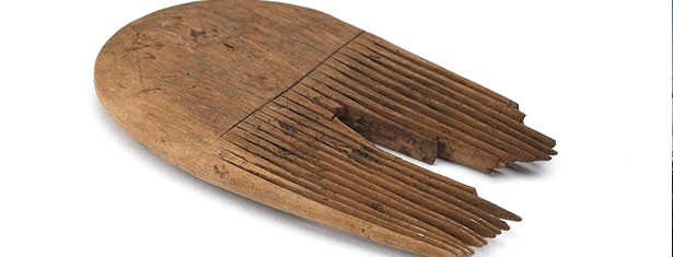 Sites palafittiques préhistoriques autour des Alpes