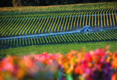 Les Climats du vignoble de Bourgogne