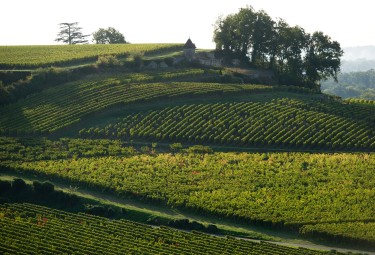 Jurisdiction of Saint-Emilion