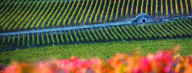 Les Climats du vignoble de Bourgogne