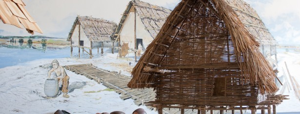 Prehistoric pile dwellings around the Alps