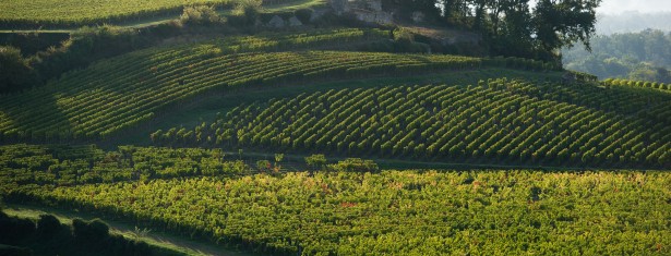 Jurisdiction of Saint-Emilion