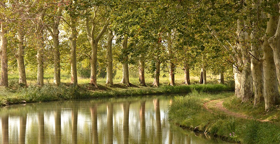 Canal du Midi