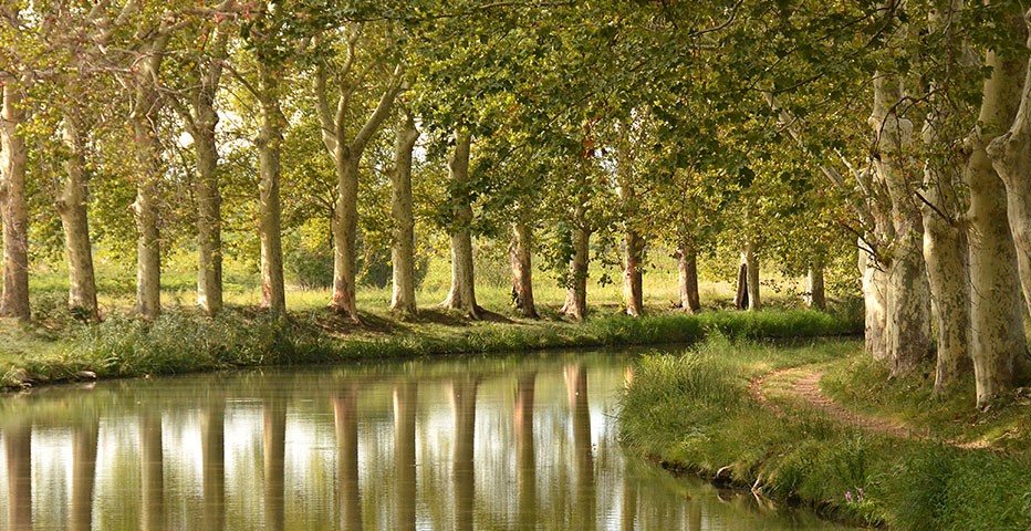 Canal du Midi