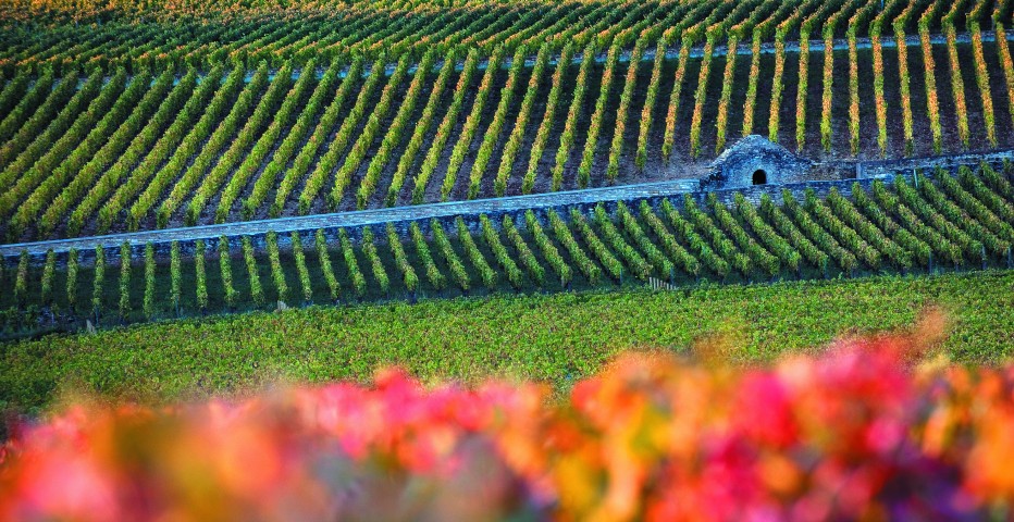 Les Climats du vignoble de Bourgogne