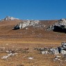 Mise en ligne du site Internet des Causses et Cévennes