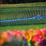 Les Climats du vignoble de Bourgogne