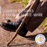 Journée d’études sur les chemins de Saint-Jacques – 3 et 4 juin 2022, Oloron-Saine-Marie