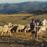 Ouverture des inscriptions à la 5e rencontre des communicants des biens du patrimoine mondial (Causses & Cévennes, 5-7 juin 2024)