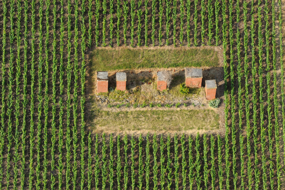 Essors vignoble Champagne