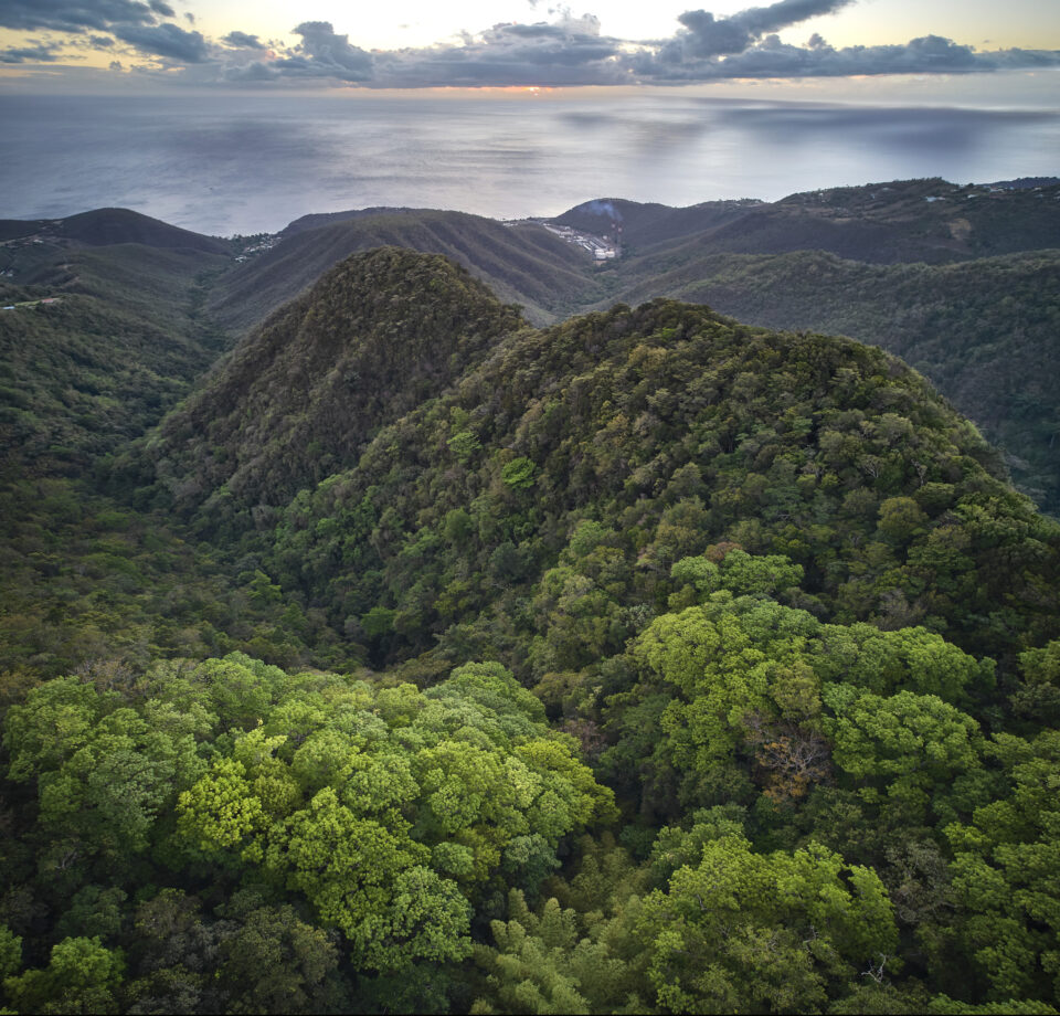 Volcans et forêts de la Montagne Pelée et des Pitons du Nord de la Martinique