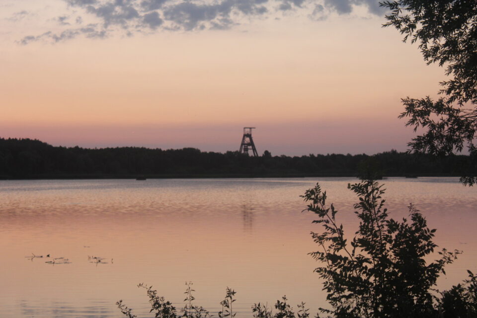 Etangs de Chabaud-Latour et de la digue noire à Condé-sur-l'Escaut