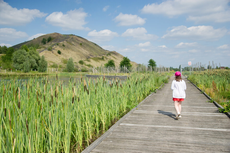 Parc des Îles à Hénin-Beaumont