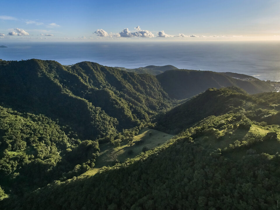 Volcans et forêts de la Montagne Pelée et des Pitons du Nord de la Martinique