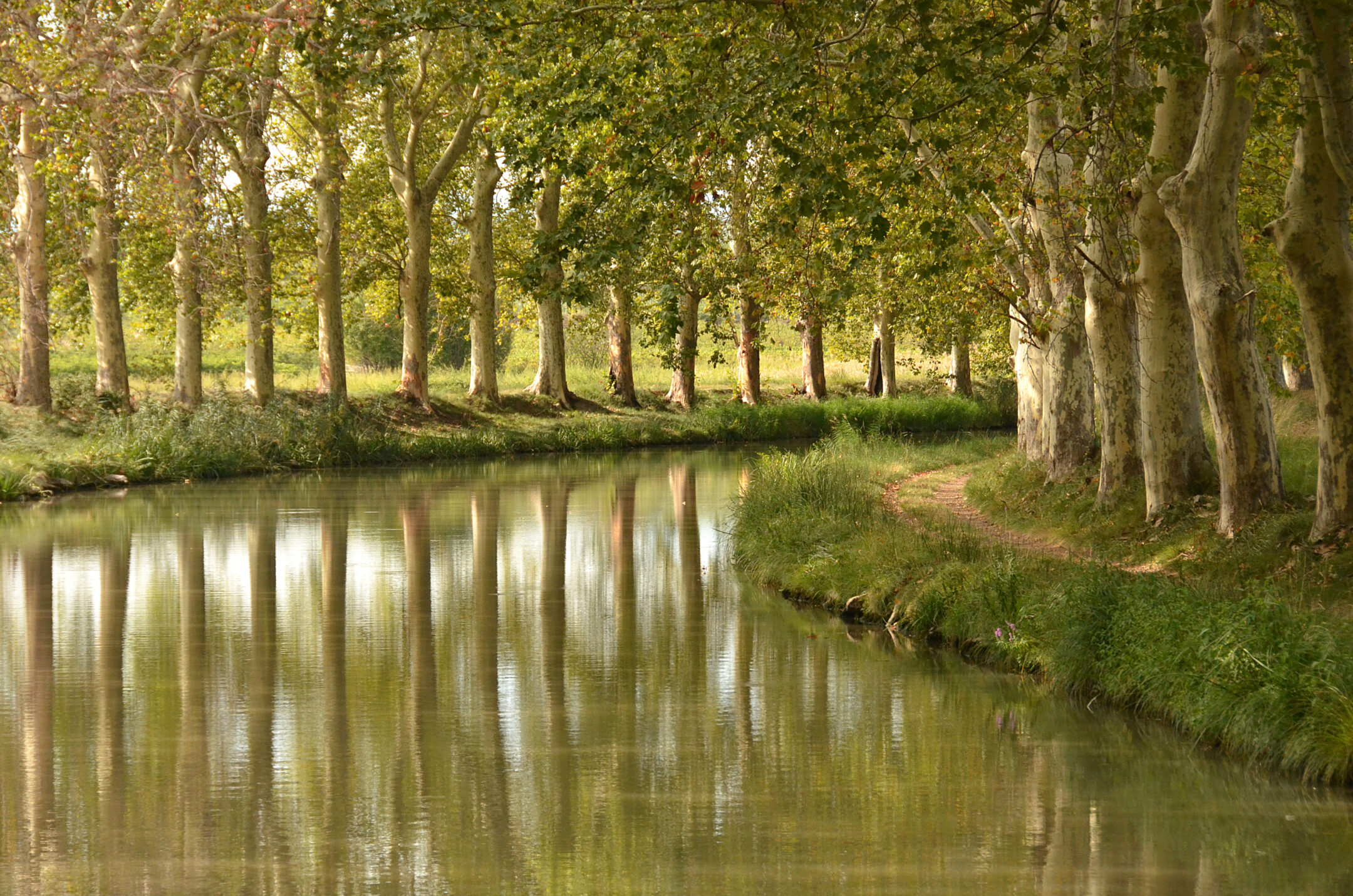 Canal du midi