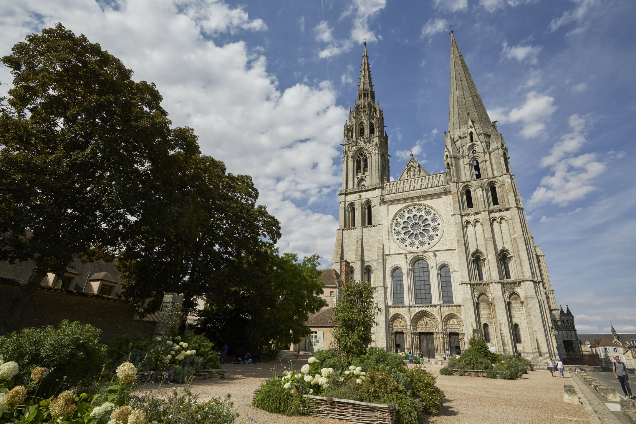 Cathédrale Notre-Dame de Chartres